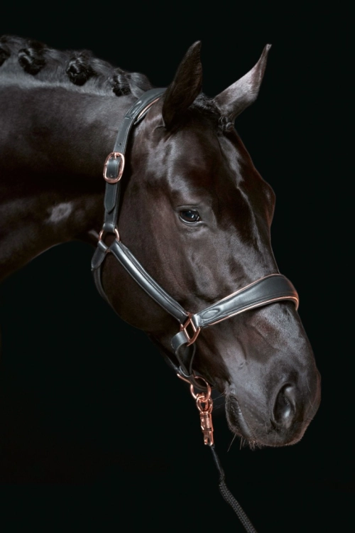 kantar-skorzany-hkm-rosegold2.jpg