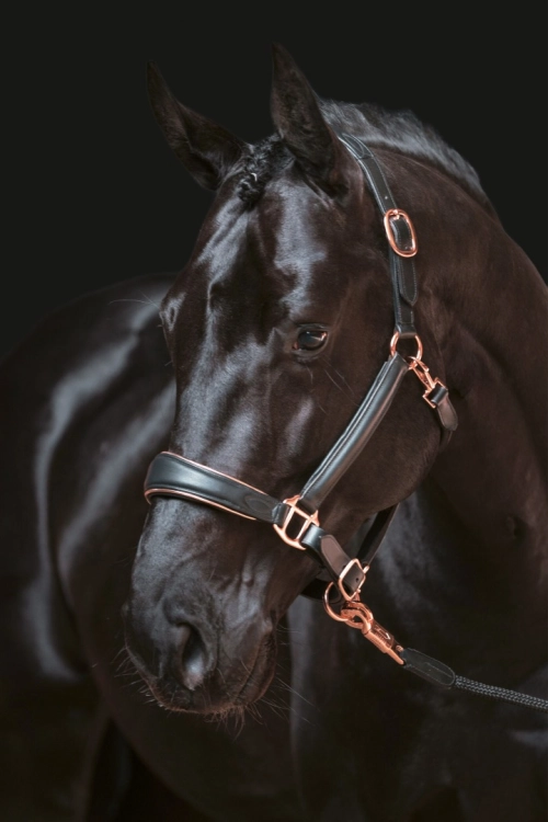 kantar-skorzany-hkm-rosegold1.jpg