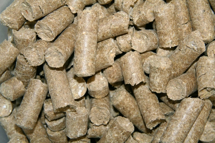 kerbl-delizia-cukierki-dla-koni-classic