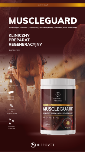 preparat-regenerujacy-tkanke-miesniowa-hippovet-phatmacy-muscleguard