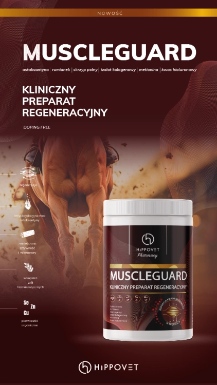 preparat-regenerujacy-tkanke-miesniowa-hippovet-phatmacy-muscleguard