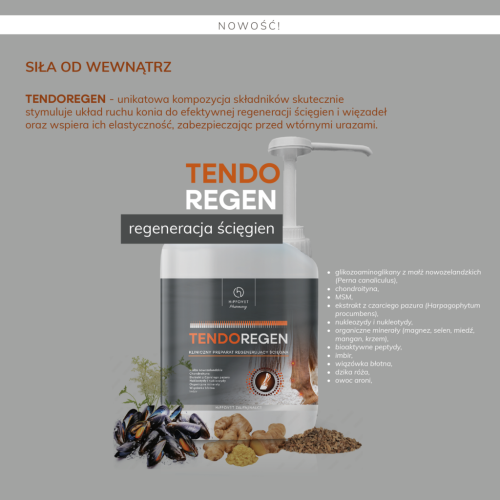 Regeneracja-scięgien-i-wiezadel-Hippovet-Pharmacy-TendoRegen