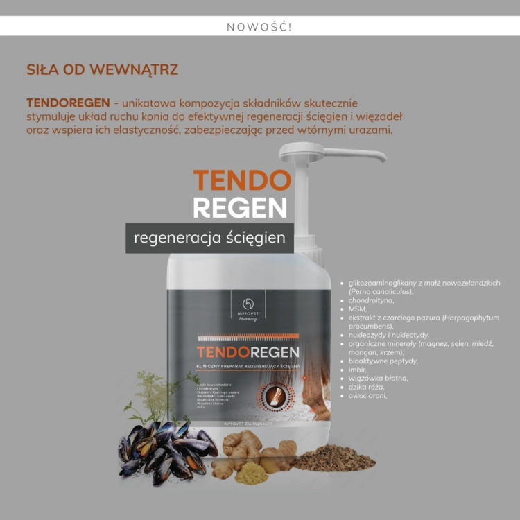 Regeneracja-scięgien-i-wiezadel-Hippovet-Pharmacy-TendoRegen