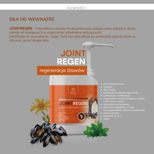 hippovet-jointregen-informacje.png