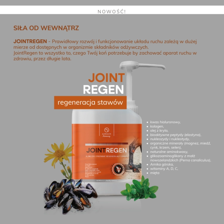 hippovet-jointregen-informacje.png
