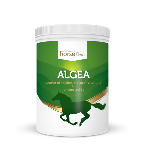 HorseLinePRO-Algea-Algi-norweskie-dla-koni