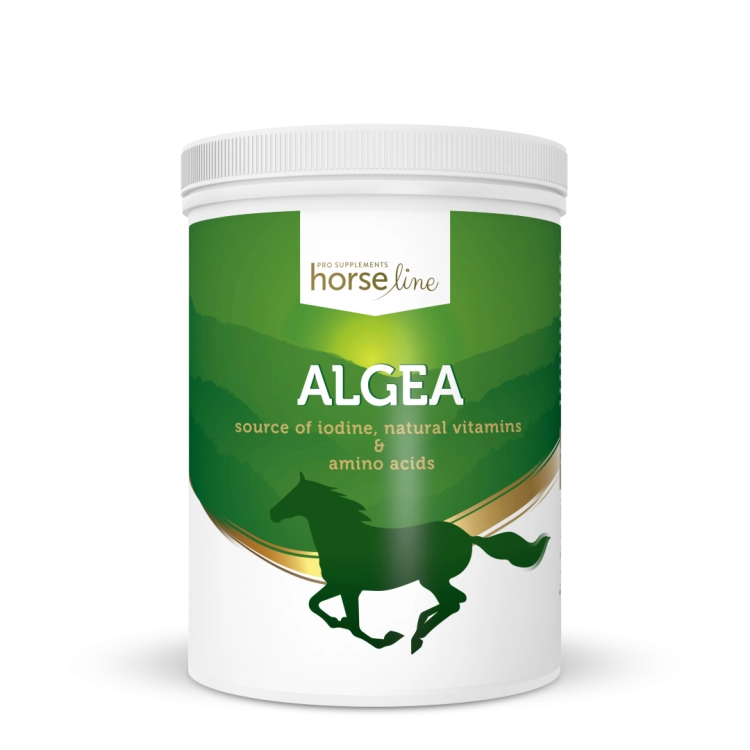 HorseLinePRO-Algea-Algi-norweskie-dla-koni