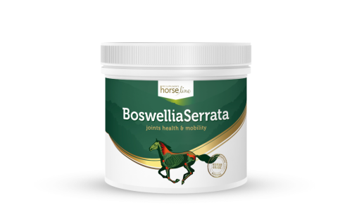 HorseLinePRO-BoswelliaSerrata-suplement-na-miesnie-i-stawy-koni