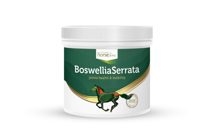HorseLinePRO-BoswelliaSerrata-suplement-na-miesnie-i-stawy-koni