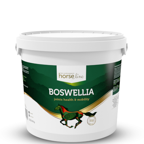 HorseLinePRO-BoswelliaSerrata-suplement-na-miesnie-i-stawy-koni