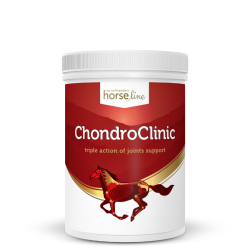 HorseLinePRO-ChondroClinic-na-stawy-dla-koni