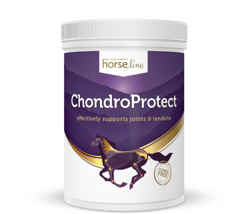 HorseLinePRO-ChondroProtect-Preparat-na-stawy-dla-koni