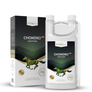 Preparat na stawy HorseLinePRO "Chondro+HA" 2 x 1000 ml