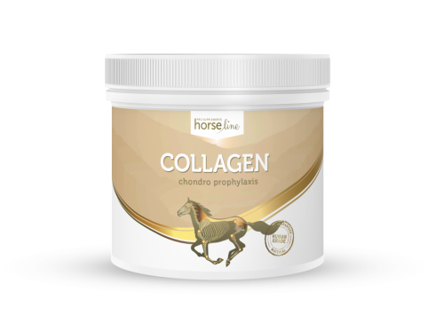 HorseLinePRO-Collagen-Kolagen-dla-koni