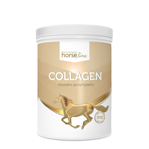 HorseLinePRO-Collagen-Kolagen-dla-koni