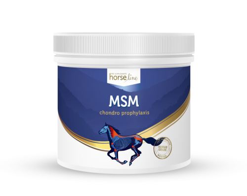 HorseLinePRO-MSM-dla-koni