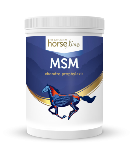 HorseLinePRO-MSM-dla-koni