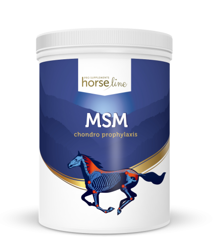 HorseLinePRO-MSM-dla-koni
