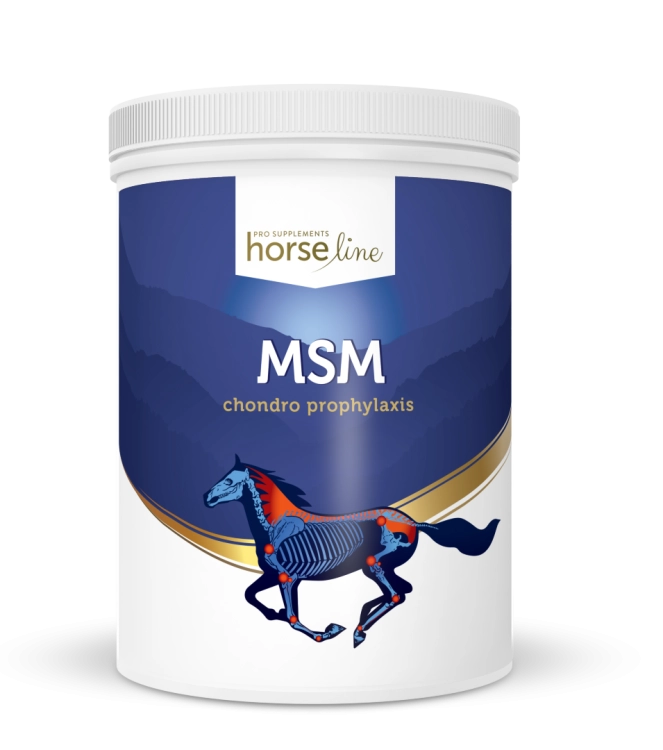 HorseLinePRO-MSM-dla-koni