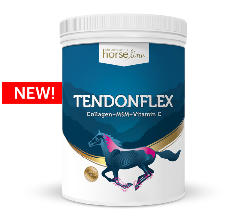 HorseLinePRO-TendonFlex-Preparat-dla-koni-na-stawy