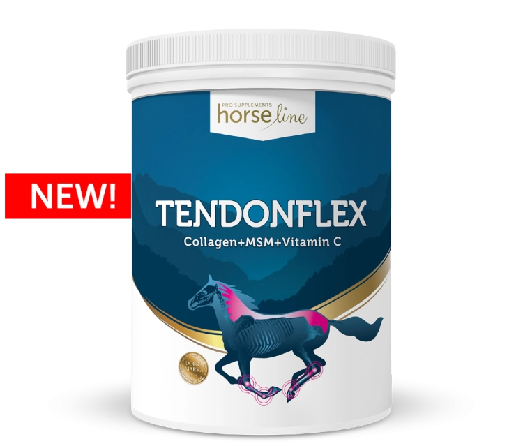 HorseLinePRO-TendonFlex-Preparat-dla-koni-na-stawy