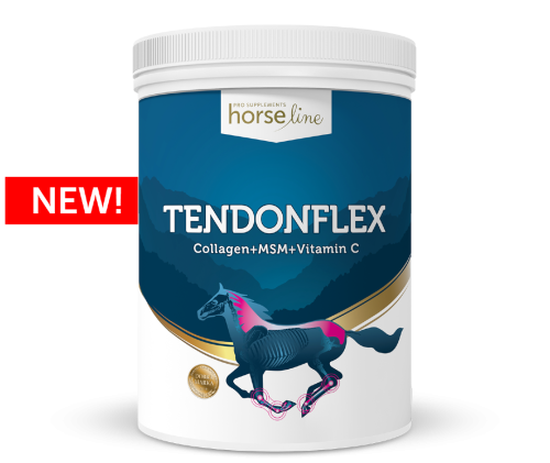 HorseLinePRO-TendonFlex-Preparat-dla-koni-na-stawy
