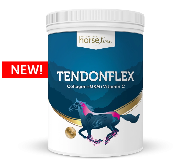 HorseLinePRO-TendonFlex-Preparat-dla-koni-na-stawy