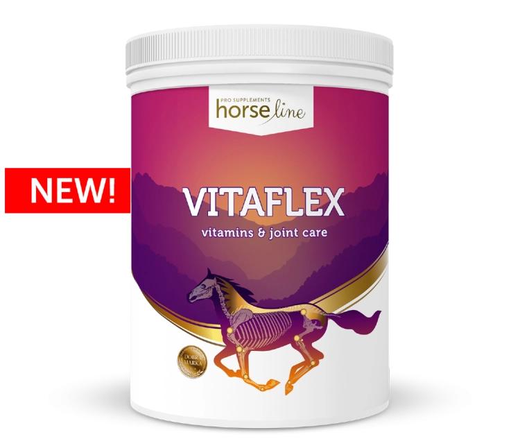 HorseLinePRO-VitaFlex-witaminy-dla-koni.png