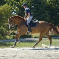 Oficerki-Kavalkade-Maximus-black-skora-gladka