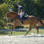 Oficerki-Kavalkade-Maximus-black-skora-gladka