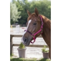 snaffle-strass-nylon-headcollar.jpg