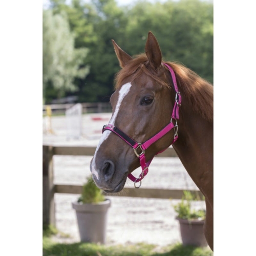 snaffle-strass-nylon-headcollar.jpg