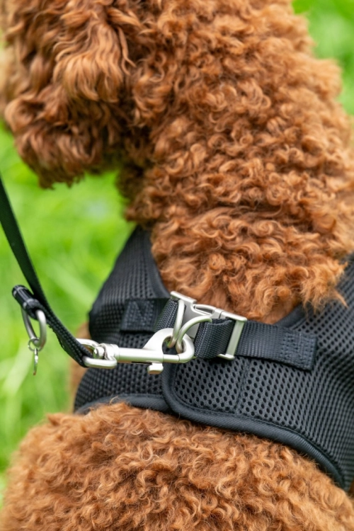 szelki-hkm-buddy-soft11.jpg