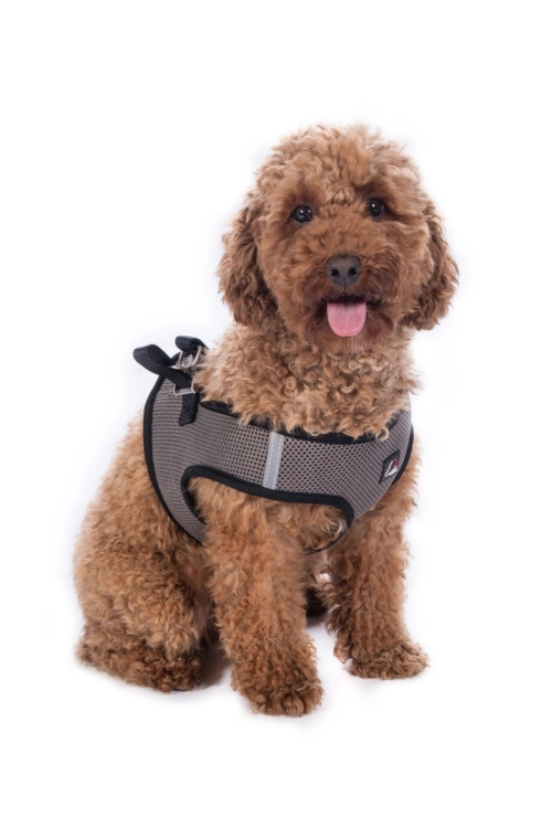 szelki-hkm-buddy-soft9.jpg