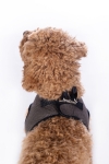 szelki-hkm-buddy-soft5.jpg