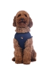 szelki-hkm-buddy-soft4.jpg