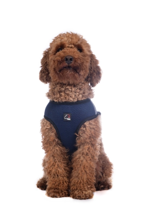 szelki-hkm-buddy-soft4.jpg