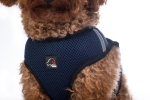 szelki-hkm-buddy-soft2.jpg