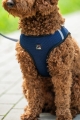 szelki-hkm-buddy-soft.jpg