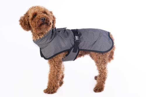 derka-dla-psa-hkm-buddy9.jpg
