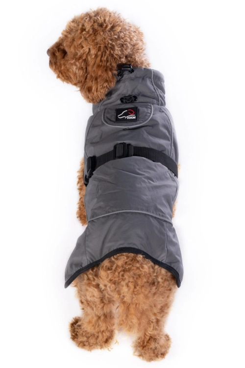 derka-dla-psa-hkm-buddy8.jpg