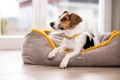 legowisko-hkm-anam-cara-comfort2.jpg