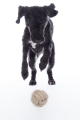 zabawka-hkm-knot-ball.jpg