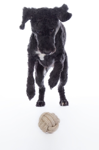 zabawka-hkm-knot-ball.jpg
