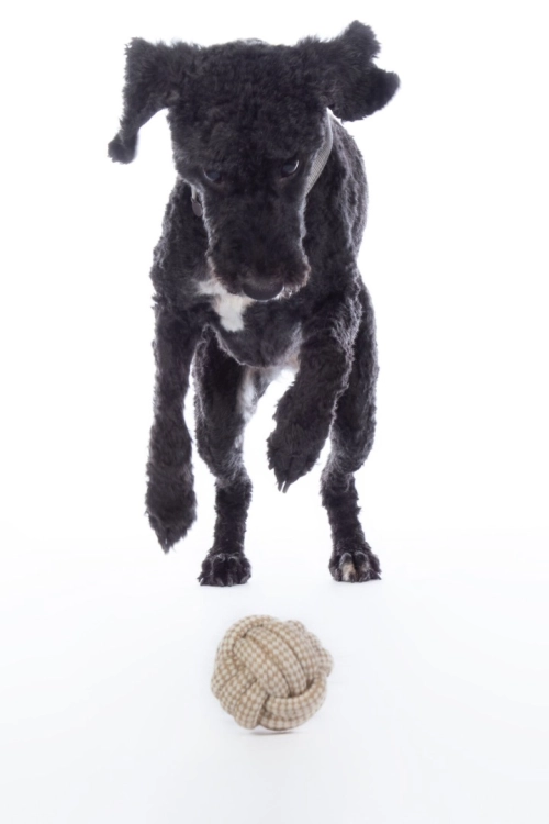 zabawka-hkm-knot-ball.jpg
