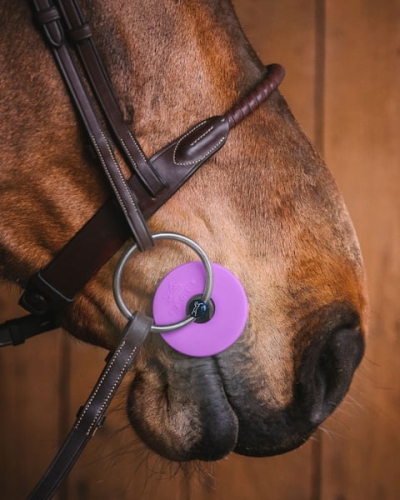 slinianki-gumki-do-wedzidla-fager-purple1.jpg
