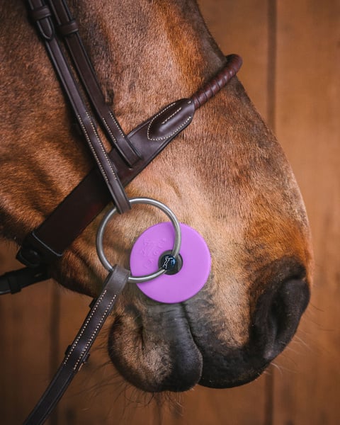 slinianki-gumki-do-wedzidla-fager-purple1.jpg