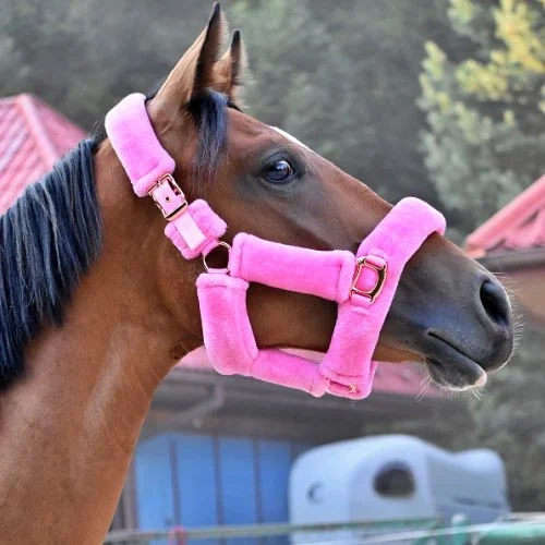 Kantar-start-teddy-rosegold