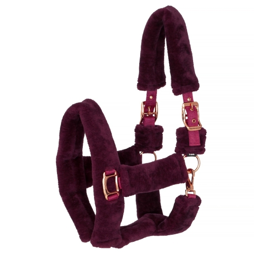 Kantar-start-teddy-rosegold
