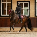 Czapka-pod-kask QHP-Rayah-black